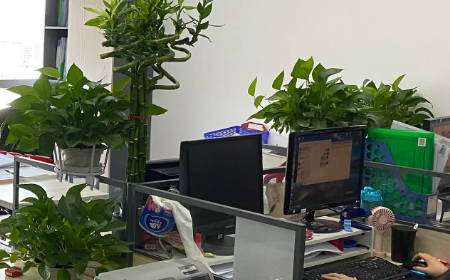 建筑工程公司名字起名大全