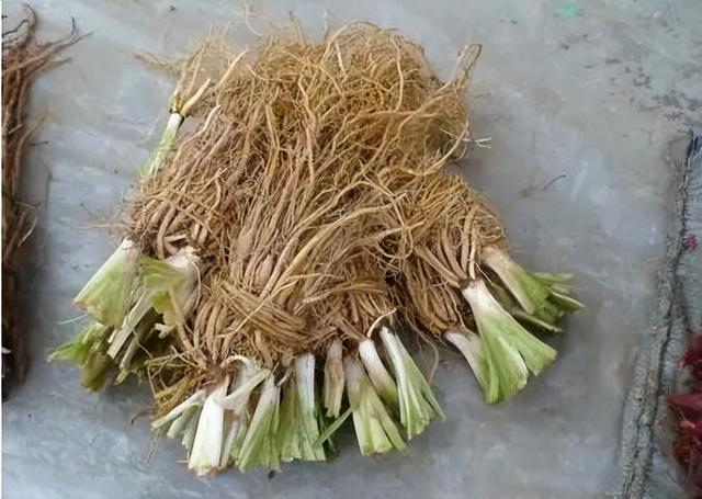 怎么取名最容易上推荐(均适合取名字吗)-第3张图片- 怎么取名最容易上推荐(均适合取名字吗)-第3张图片-