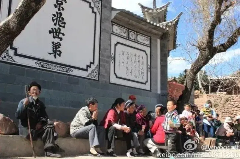 2021人口普查姓氏人数排名，云南姓氏排名前20名-第13张图片-