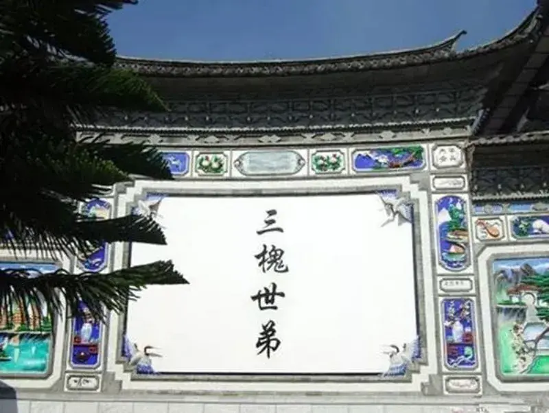 2021人口普查姓氏人数排名，云南姓氏排名前20名-第11张图片-