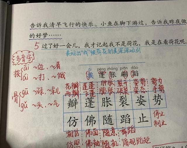 莲与荷怎么取名的视频(b站视频怎么取名)-第3张图片-