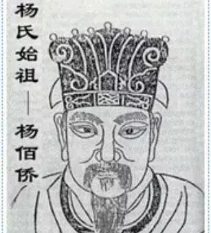 中国姓氏杨氏家谱字辈大全，杨姓在古代是什么世家大盘点-第5张图片-