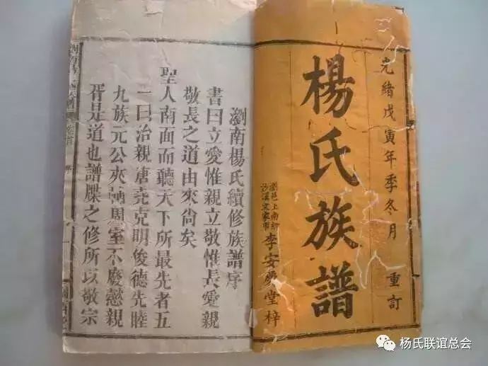 中国姓氏杨氏家谱字辈大全，杨姓在古代是什么世家大盘点-第1张图片-