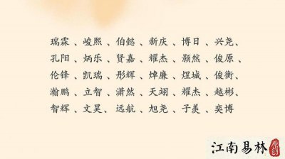 ​怎么取名社团名字可爱(小猫取名可爱的名字)