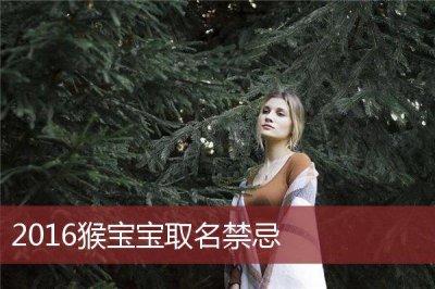 ​猴子怎么取名好(2016年猴子取名宜用什么字)