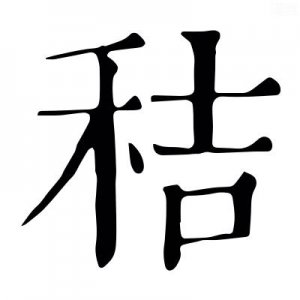 ​秸字取名寓意如何(玏字取名的寓意)
