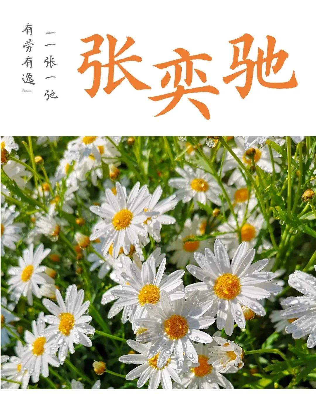 阳光开朗，诗意盎然的男孩女孩名字