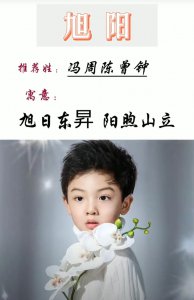 ​好听洋气，有文化涵养的男孩名字