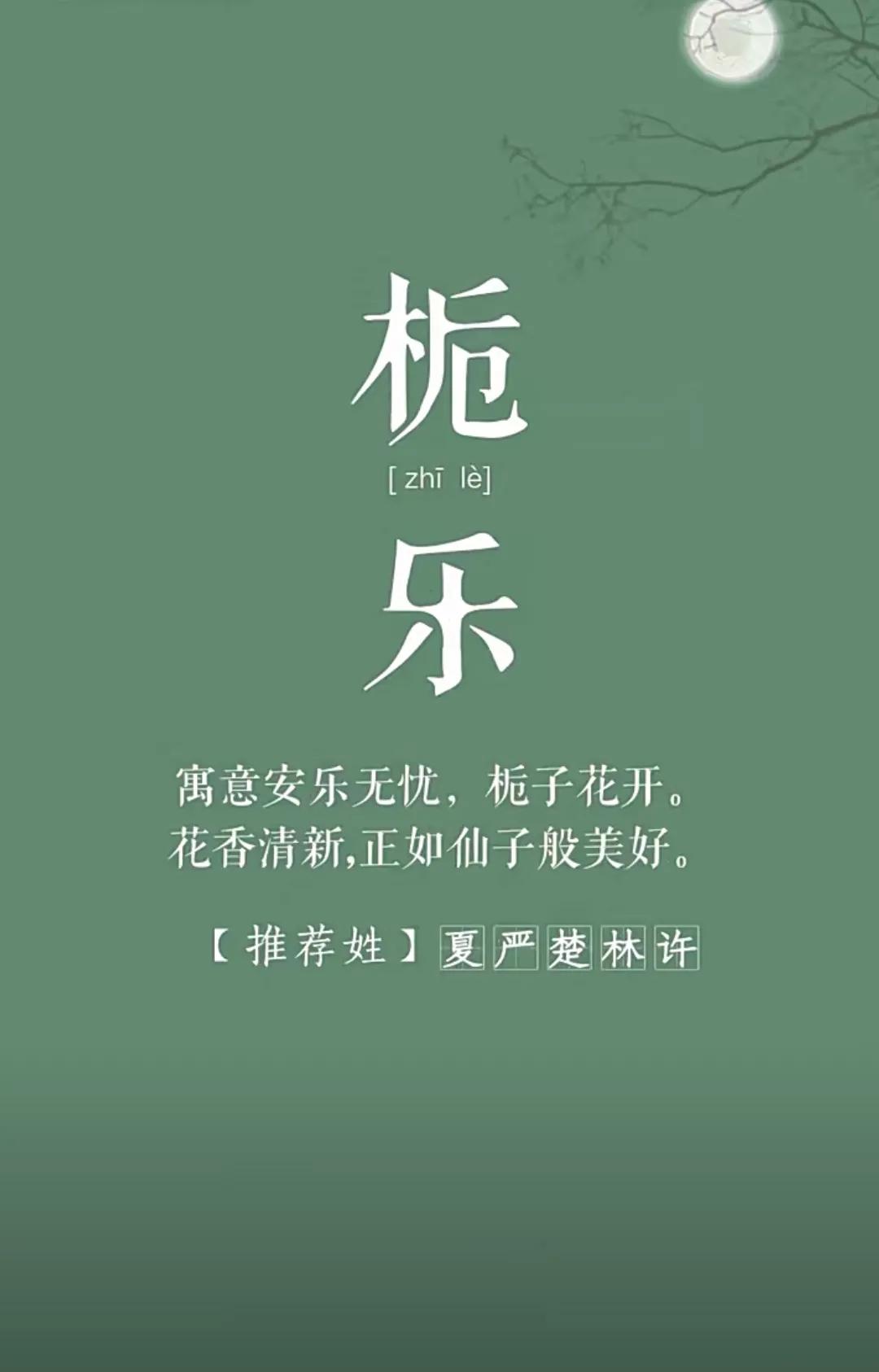 精致漂亮有涵养的女孩名字