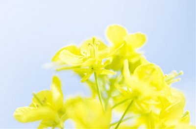 ​生意开业祝福语200句