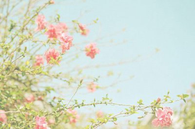 ​元旦有趣祝福短信100句
