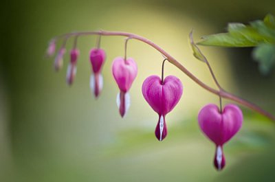 ​六一儿童节祝福81句