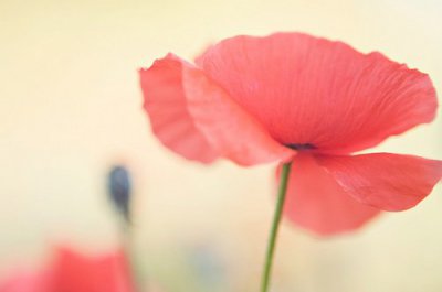 ​五一节短信祝福80句