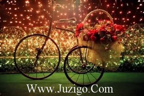 2023年唯美的元宵节祝福语大全(元宵节祝福图片高清)