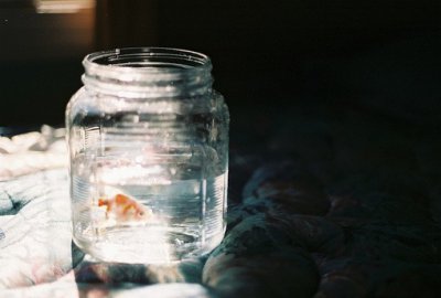 ​对导师的端午祝福语30句
