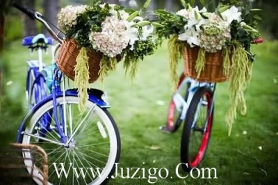 ​老师生日祝福语简短老师生日祝福语100字左右(精选29句)