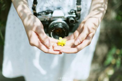 ​2024教师节的祝福语教师节到了给老师的一句话