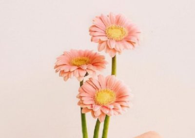 ​经典语录青春励志