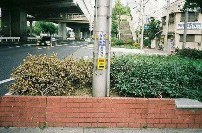 ​唯美伤感句子摘录78条