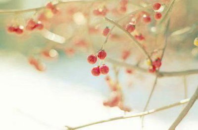 ​形容优美的句子