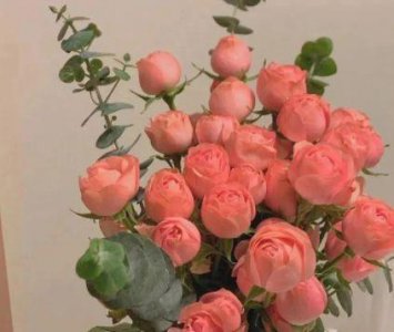 ​刮风的经典句子 适合刮大风发的句子(67句)