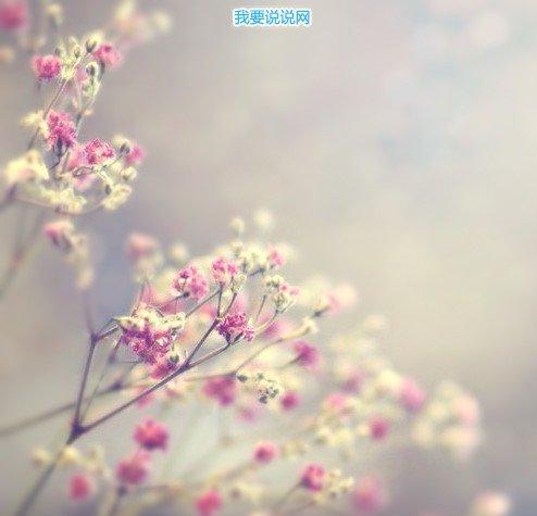 感慨人生的优美句子集锦