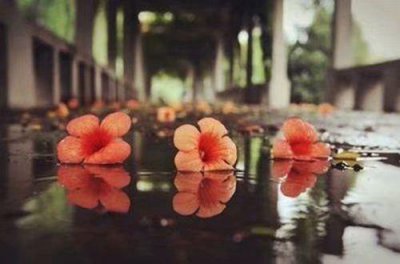 ​下雨天的经典句子 下雨心情说说感悟生活汇编77句