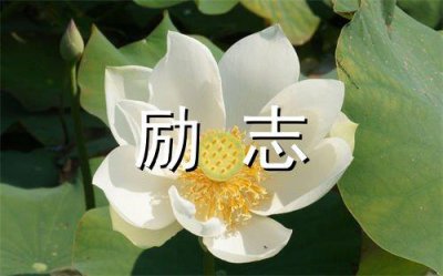 ​教人道理的正能量句子