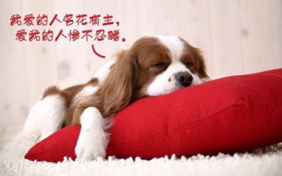 ​史上最搞笑的开学句子