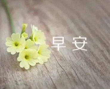 ​表白的英文句子带翻译