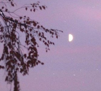 ​积极正能量的人生感悟句子
