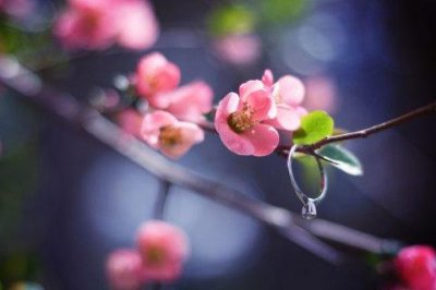 ​写雨优美句子59条