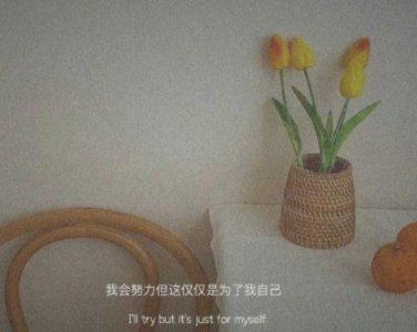 ​2025五一劳动节句子唯美简短汇总73句