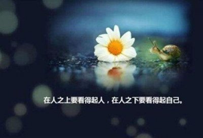 ​2025立春发朋友圈的文案唯美句子