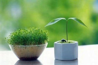 ​高情商发圈被秒赞的句子2025年