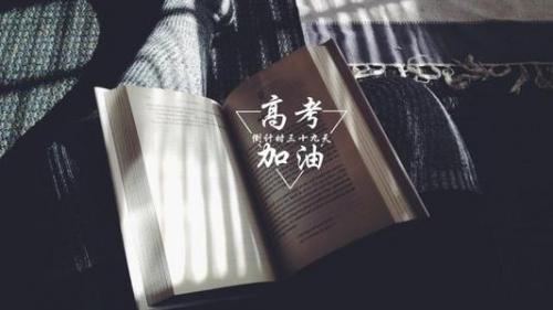 十分有创意的优美句子
