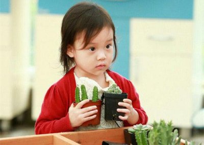 ​2025春节回家过年优美句子(26句)
