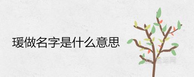 ​瑗做名字是什么意思 取名瑗和媛哪个好