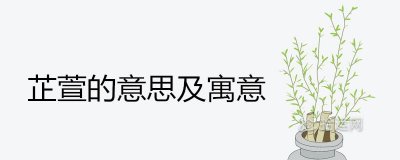 ​芷萱的意思及寓意是什么  跟芷最搭的女孩名字有哪些