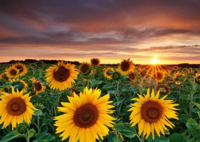 ​摄影照片取名技巧 多种方式