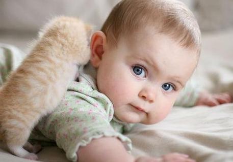 2015年属羊的男孩子起名