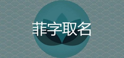 ​菲字取名的寓意 带菲字洋气的女孩名字