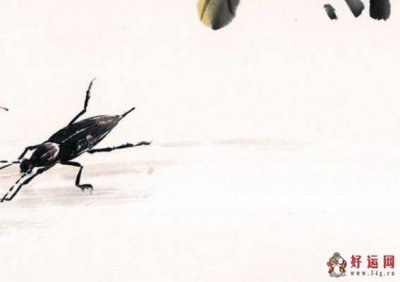 ​农历五月出生的女孩如何起名气质又高分