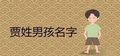 ​贾姓好听稀少的名字男孩