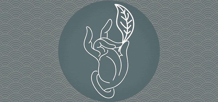 哲字的含义是什么 取名寓意是什么