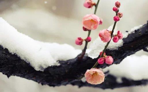 最新的姓黄的男孩名字(带解释) 高分有寓意