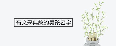 ​有文采典故的男孩名字