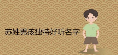 ​苏姓男孩独特好听名字