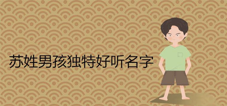 苏姓男孩独特好听名字 苏姓男孩独特好听名字