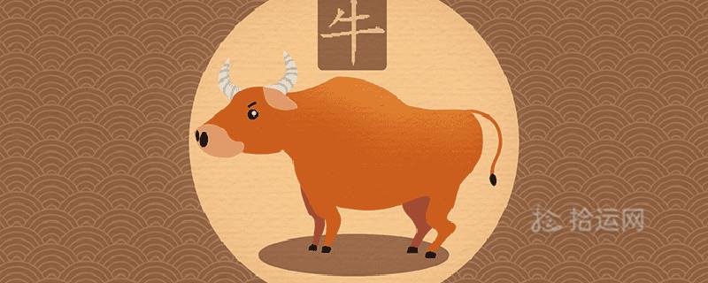 男孩名字属牛寓意又好又洋气的 男孩名字属牛寓意又好又洋气的